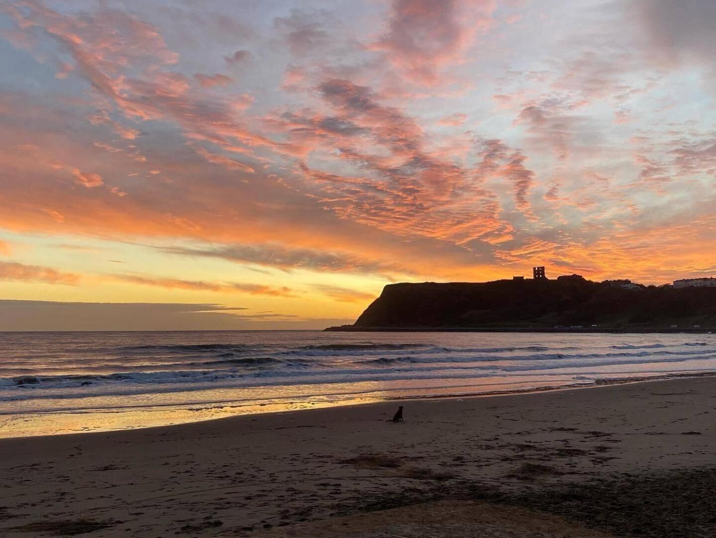Headland View - Stunning Sea Views! Apartment Scarborough
